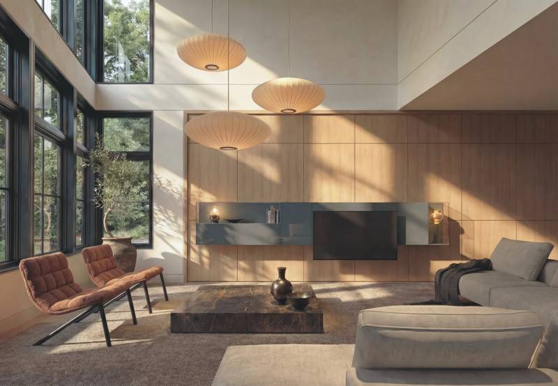 parete_attrezzata_36e8_cinema_generale