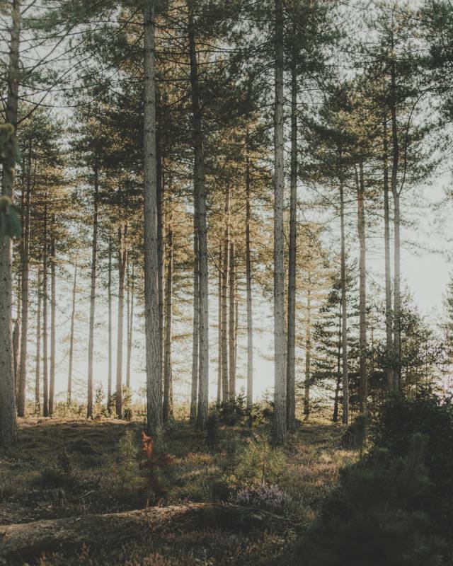 LAGO_RITRATTI D'ABITARE_HELSINKI_MOOD5