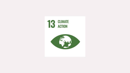 sdg 13 sdg 13