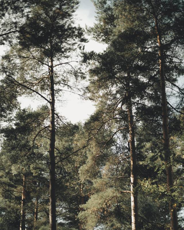 LAGO_RITRATTI D'ABITARE_HELSINKI_MOOD6