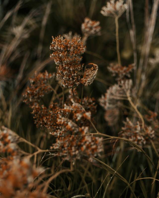 LAGO_RITRATTI D'ABITARE_HELSINKI_MOOD4