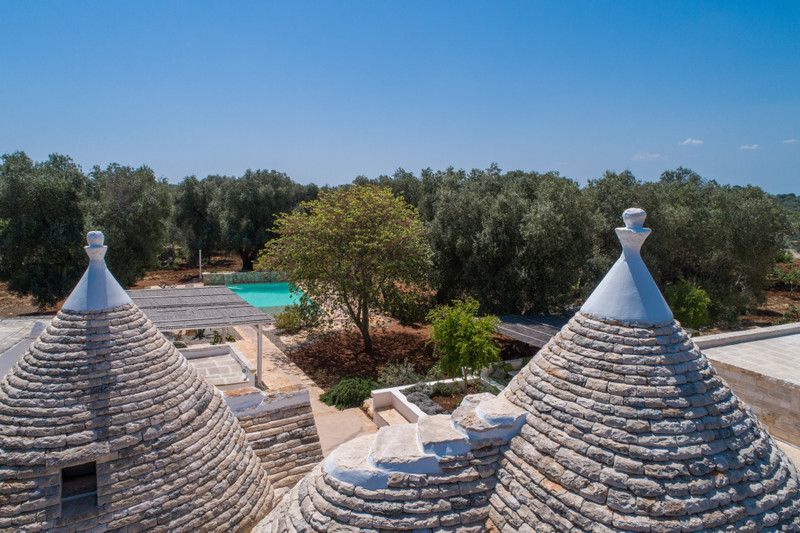 Trulli_Cicale_Olive_Brindisi_0005