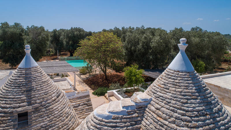 Trulli_Cicale_Olive_Brindisi_0005 Trulli_Cicale_Olive_Brindisi_0005