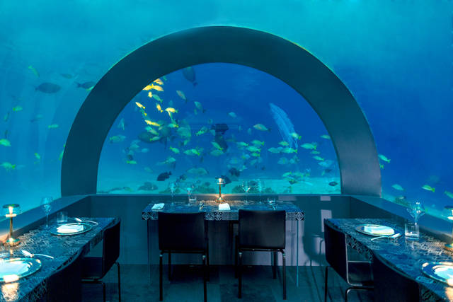H20_Maldive_0122 H20_Maldive_0122