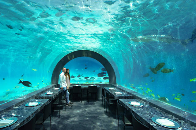 H20_Maldive_0096 H20_Maldive_0096