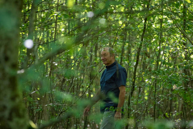 Listone-Foresta-Wildwood-1 Listone-Foresta-Wildwood-1